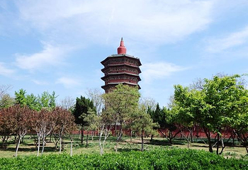 文峰塔第 15 张图片