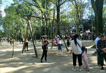 啬园第 24 张图片