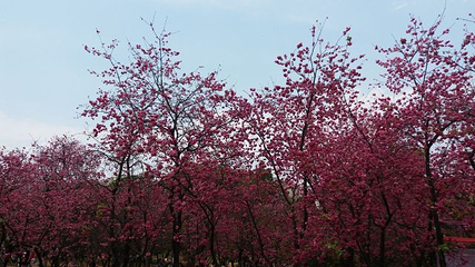 圆通寺第 12 张图片