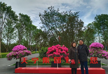 中国杜鹃花博览园第 15 张图片