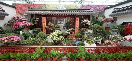 中国杜鹃花博览园第 14 张图片