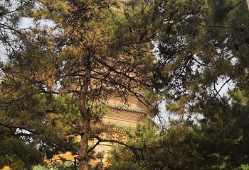 八大处公园第 82 张图片