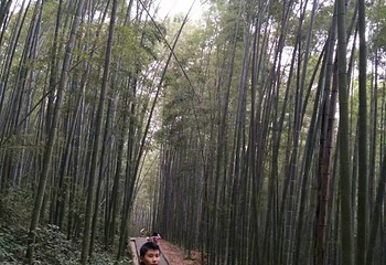 五峰山第 15 张图片