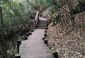 五峰山第 14 张图片