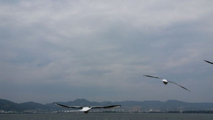 昆明旅游索道第 19 张图片