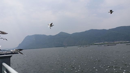 昆明旅游索道第 18 张图片