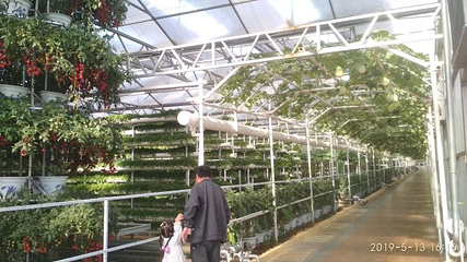 寿光蔬菜高科技示范园第 32 张图片
