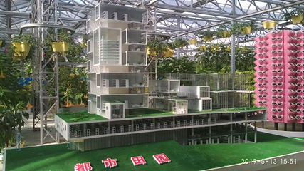 寿光蔬菜高科技示范园第 30 张图片