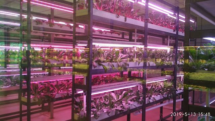 寿光蔬菜高科技示范园第 27 张图片