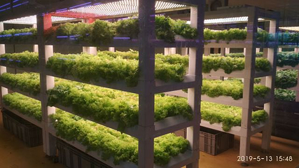 寿光蔬菜高科技示范园第 26 张图片
