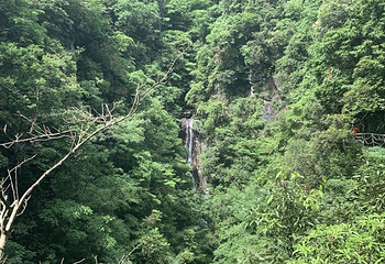 浙西大峡谷第 48 张图片