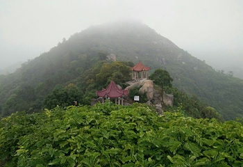 青芝山风景区第 12 张图片