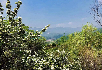 北京喇叭沟原始森林公园第 47 张图片