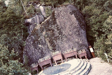 腾冲云峰山原始森林公园第 13 张图片