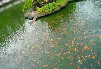 云门寺第 14 张图片