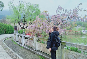 桃花潭第 61 张图片