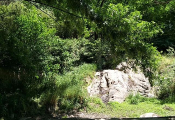 鲁山国家森林公园第 60 张图片