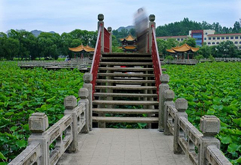 招堤风景区第 17 张图片