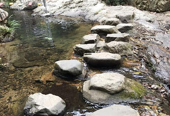 云河谷第 38 张图片