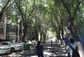 南开大学(八里台校区)第 17 张图片