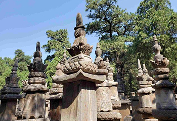 灵岩寺第 52 张图片