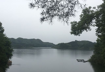 花岩溪第 19 张图片