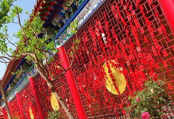 观音苑第 18 张图片