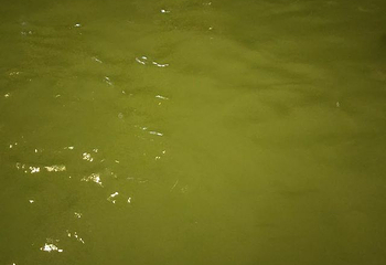 龙门铁泉黄金汤温泉度假村第 31 张图片