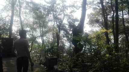 茶山竹海第 42 张图片