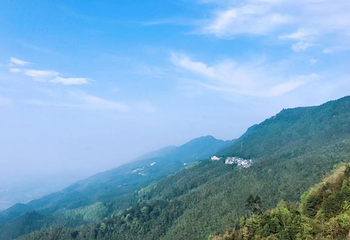 茶山竹海第 35 张图片