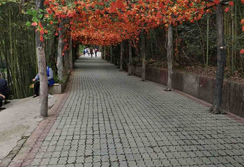 龙潭沟景区第 31 张图片
