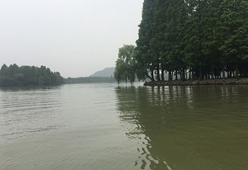 鉴湖第 55 张图片