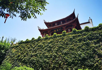 八咏楼第 16 张图片