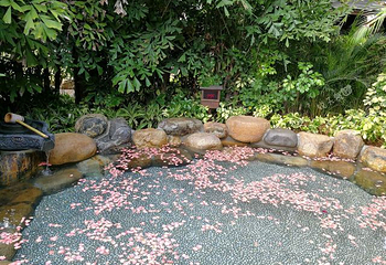 日月谷温泉第 94 张图片