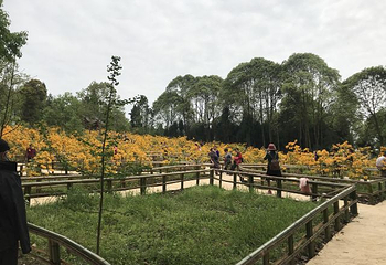 丹景山第 33 张图片
