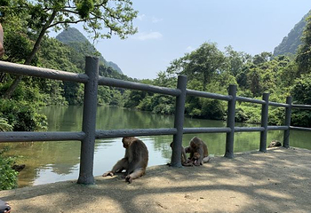 广西龙虎山风景区第 42 张图片