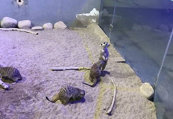 邯郸海洋世界第 27 张图片