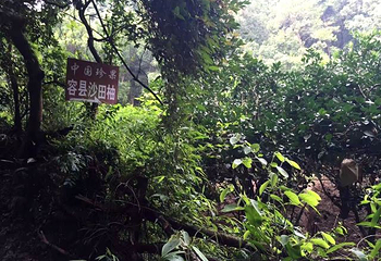 都峤山森林公园第 23 张图片