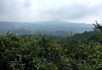 都峤山森林公园第 20 张图片