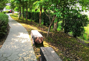 云台花园第 58 张图片