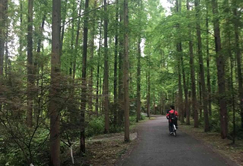 西沙明珠湖景区第 39 张图片