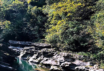 黎坪森林公园第 38 张图片