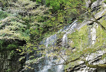黎坪森林公园第 35 张图片