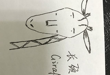 烟台动物园第 14 张图片
