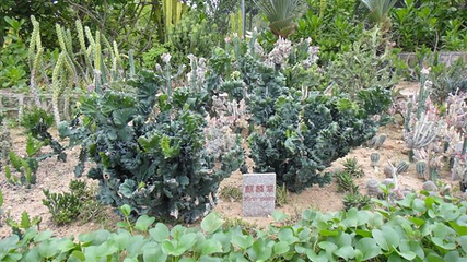 天行森林公园第 19 张图片