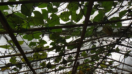 天行森林公园第 23 张图片