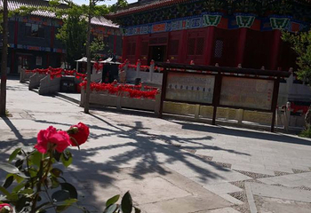 观音苑第 10 张图片
