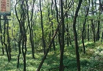 青州云门山风景区第 42 张图片