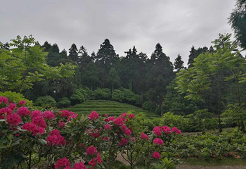 赤城山第 22 张图片