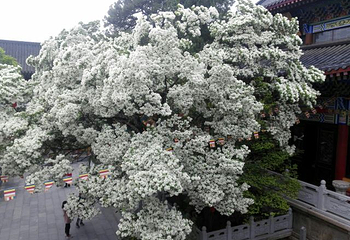 孔望山第 25 张图片